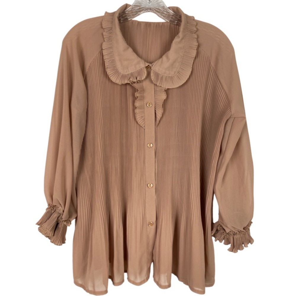 Pleated Sheer Button Down 3/4 Sleeve Blouse |